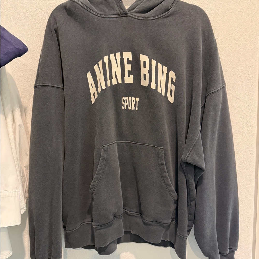 Anine Bing Sport Charcoal Hoodie